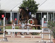 Dalla Mano Ernedelux CsioArJYR SS7 7268 : CSIO Giovani Arezzo, Dalla Mano Maria, Ernedelux, foto Stefano Secchi ©